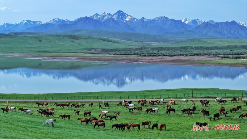 1758508821321193.jpg 微信圖片_20250919160351_46_124.jpg