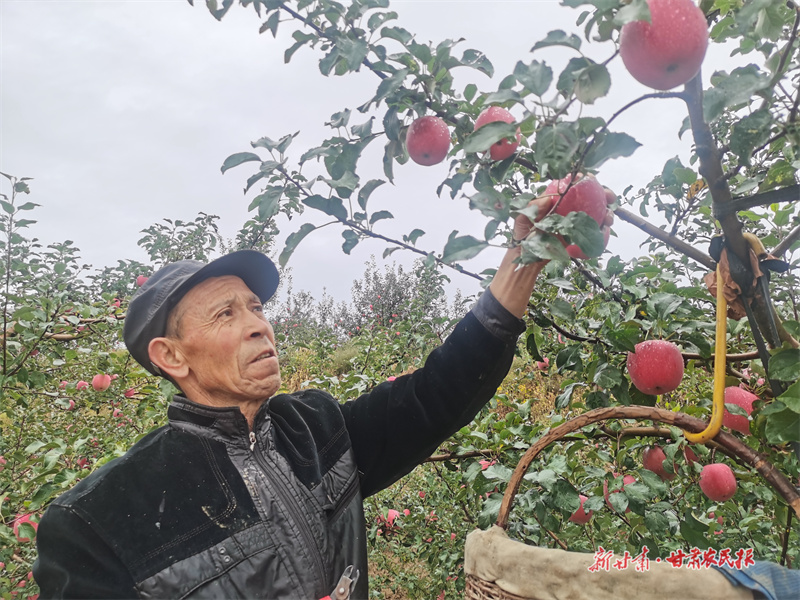 cabd1a7e13a9570cf88b11262c148a1b