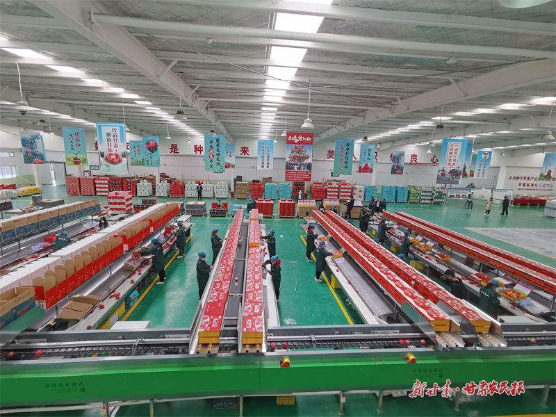 德美冷鏈物流園車間。