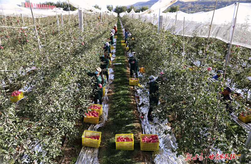 微信圖片_20221014104808