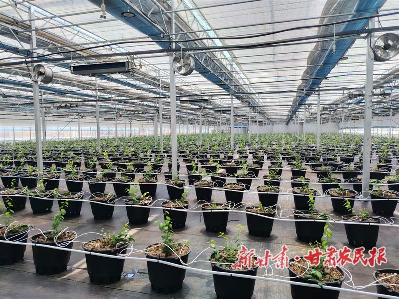 1760682413504928.jpg 1760606280373075808.jpg