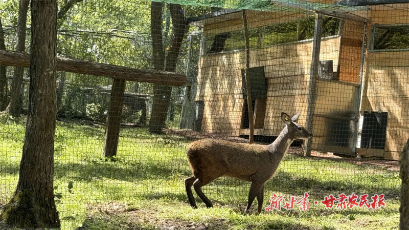 華亭