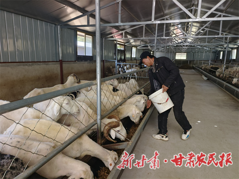 秦州區